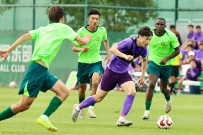 开云登录入口-赛地聚焦：德甲关键时刻热度飙升，纽卡斯尔绝杀压哨，赛场秩序良好，身体对抗强度拉满的简单介绍