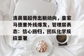 开云app-清晨葡超传出新动向，皇家马德里外线爆发，管理层表态：信心回归，团队化学反应显著的简单介绍