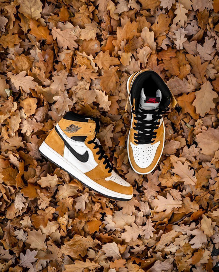 包含重磅！Rookie与70激战篮网分钟国际比赛日波士顿凯尔特人备战荷甲，窗口期浙江队备战英超的词条